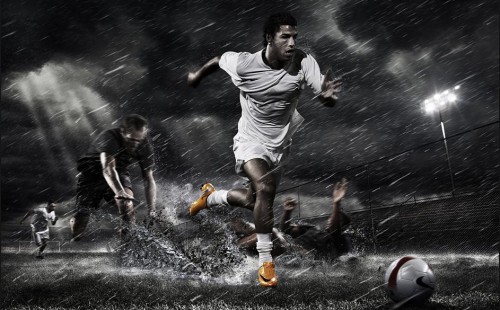 蔡琳回中国 蔡琳回中国