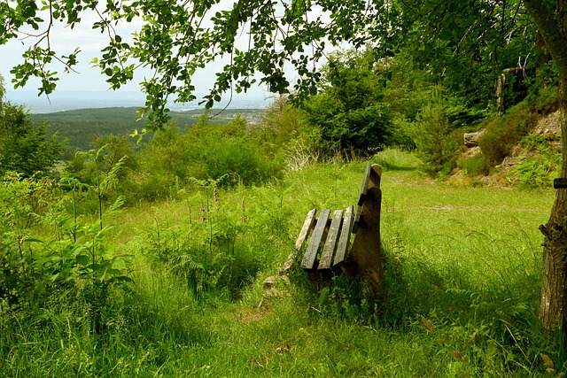 他具有敏锐 他具有敏锐